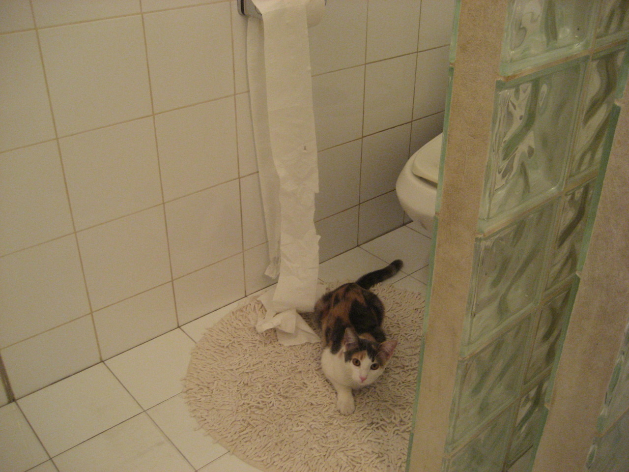 开云APP-中国足球历史上的经典战役盘点，中国足球 历史