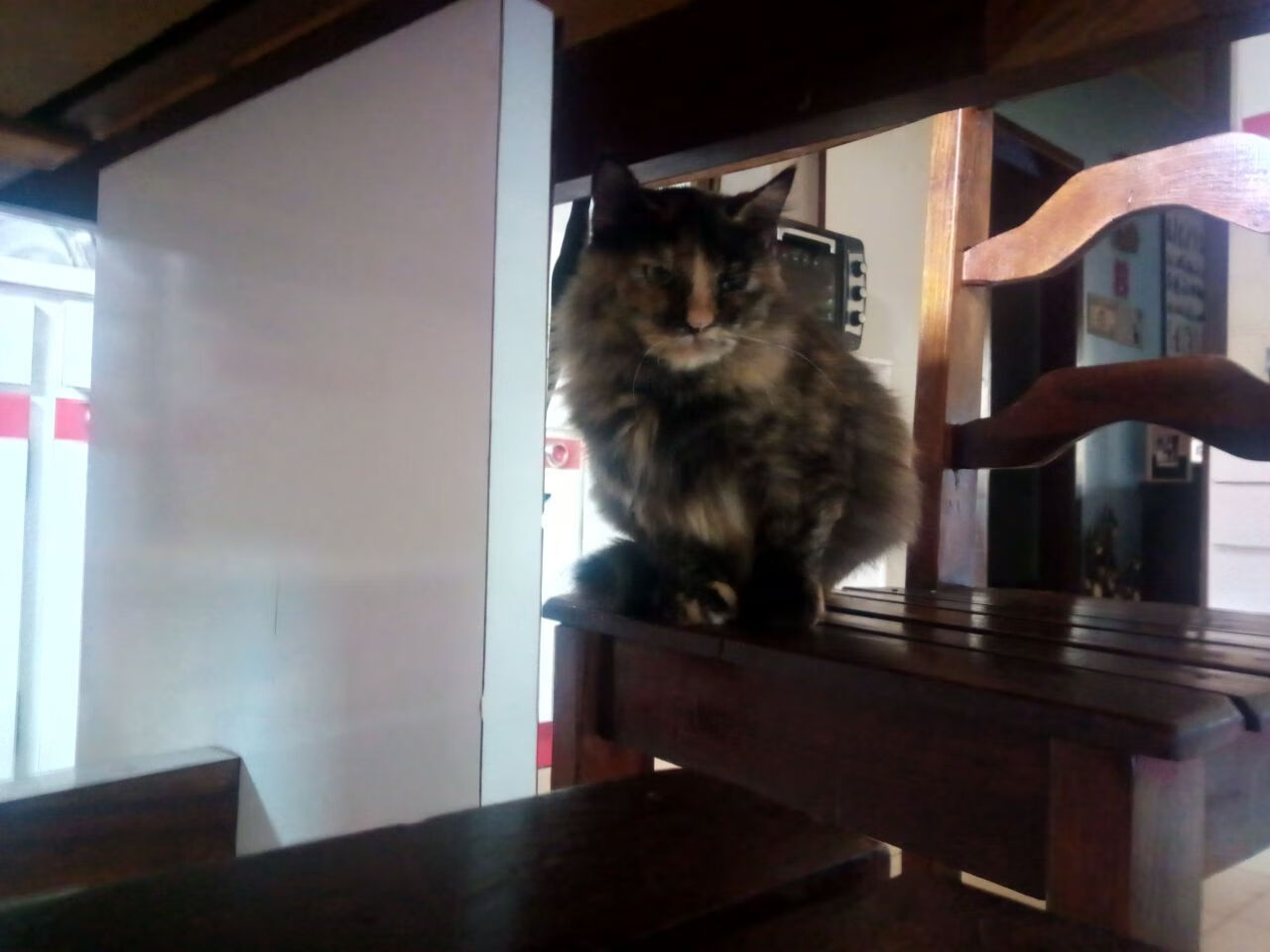 开云网站-拳击新星崭露头角，热血对抗不断升级，拳击新人